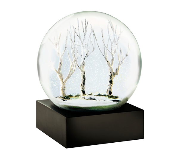 Snow Globe Winter