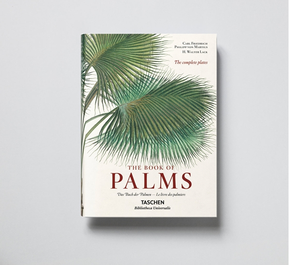 The Book of Palms fra New Mags