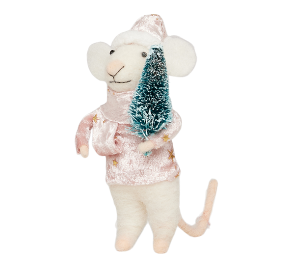 Chirag Stjernemus Und