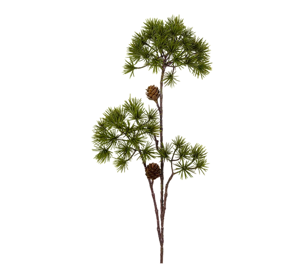 Lerkekvist 80 cm fra Mr. Plant