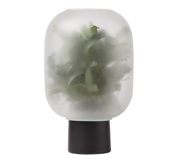 <p>Nebl potte stor sort Gejst</p>
