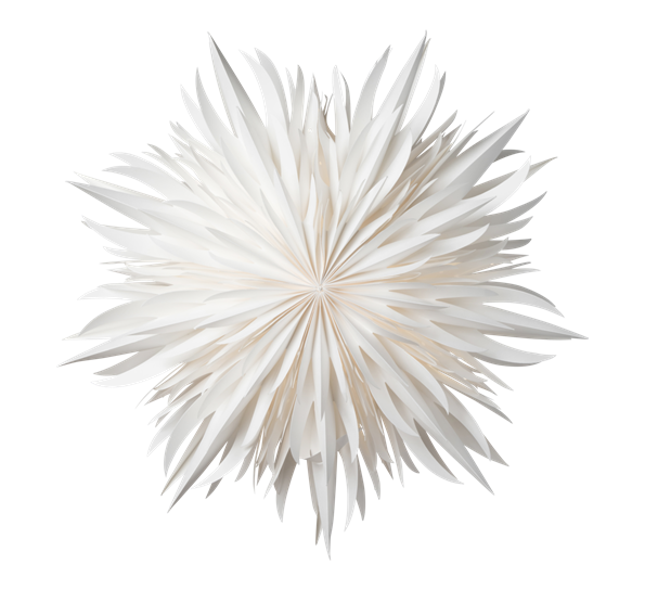 Eldig adventsstjerne 52 cm hvit fra Watt & Veke