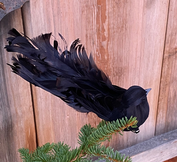 Krøllfjær med klips svart fra Und