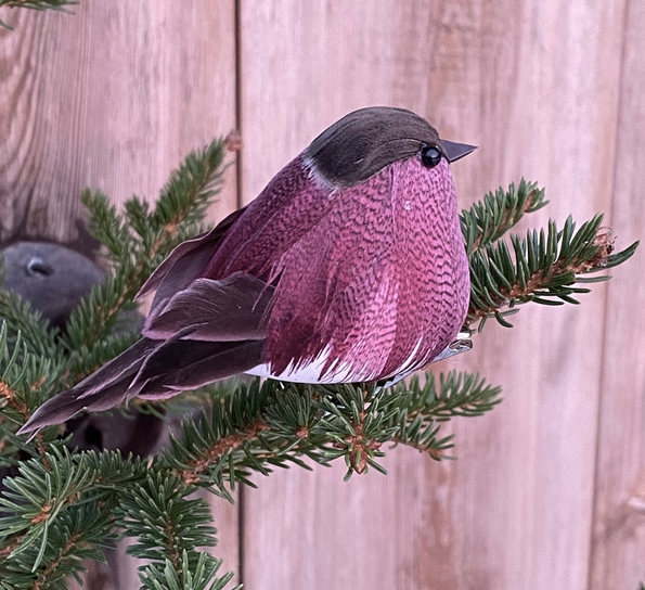 Småfugl med klips purple fra Und