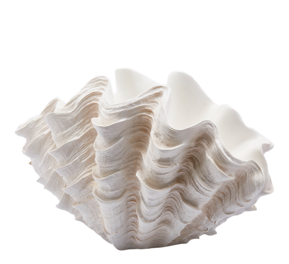 Konkylie vase 28,5x48,5x32 cm hvit EDG Enzo de Gasperi