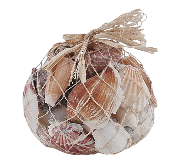 Abaca skjell blandet EDG Enzo de Gasperi