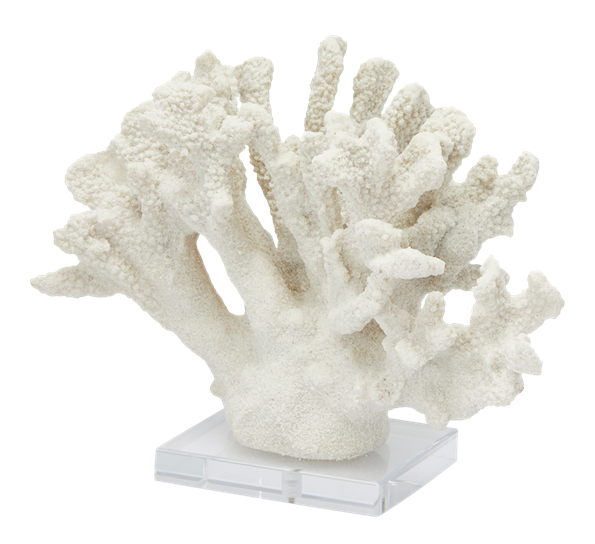 Koraller skulptur 22x28x10 cm ivory EDG Enzo de Gasperi