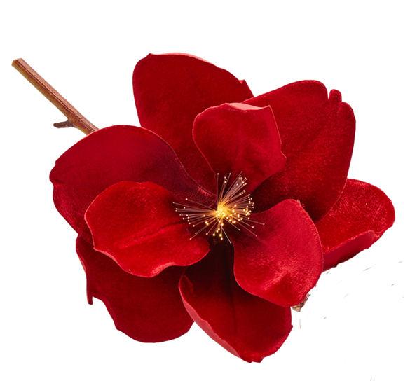 <p>Juletrepynt magnolia på klips fløyel 25 cm rød EDG Enzo de Gasperi</p>
