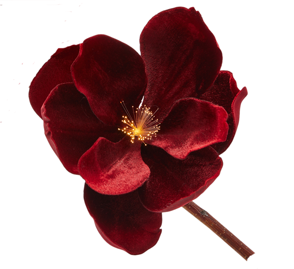 <p>Juletrepynt magnolia på klips fløyel 25 cm mørkerød EDG Enzo de Gasperi</p>
