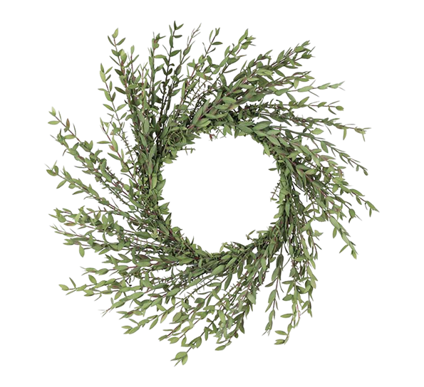 Eucalyptuskrans 55 cm fra Mr. Plant