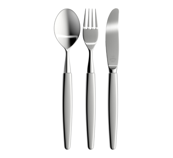 Skaugum Stål bestikksett 18 deler børstet stål fra Skaugum Bestikk