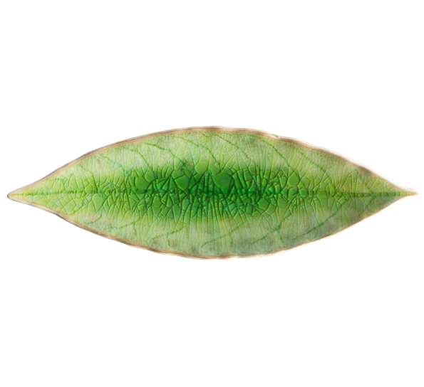 Riviera fat laurbærblad grønt 18 cm fra Costa Nova