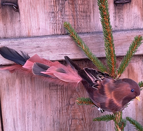 Langstjert med klips cognac fra Und