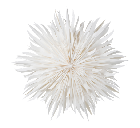 Eldig adventsstjerne 70 cm hvit fra Watt & Veke