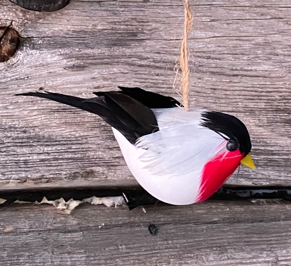 Dompap m med heng fra Und