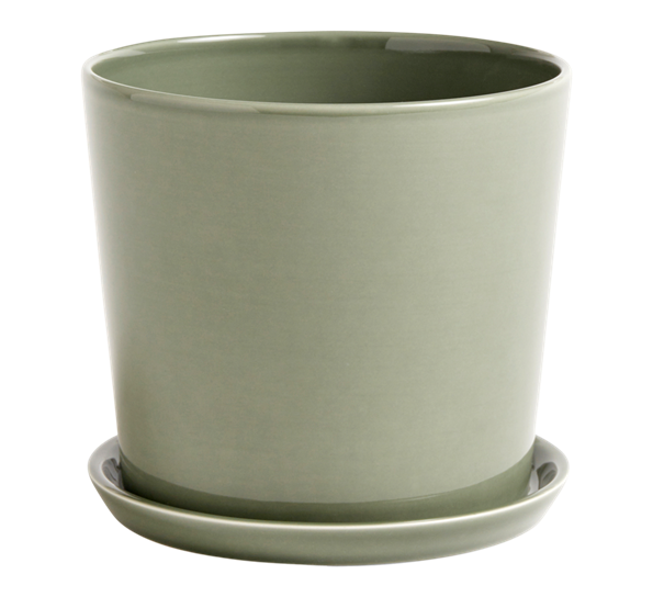 Botanical family potteskjuler med fat large dusty green fra HAY
