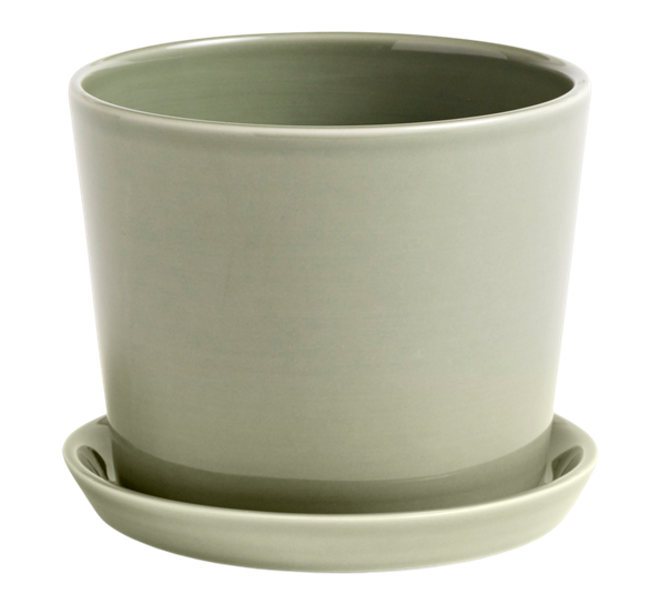 Botanical family potteskjuler med fat medium dusty green fra HAY