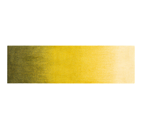 Dis Moss dørmatte 85x250 cm fra Heymat