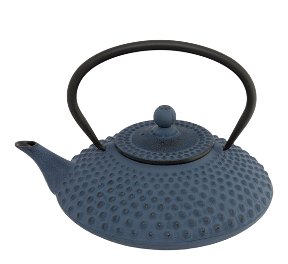 Xilin tekanne med tefilter blå 1,2 liter fra Bredemeijer