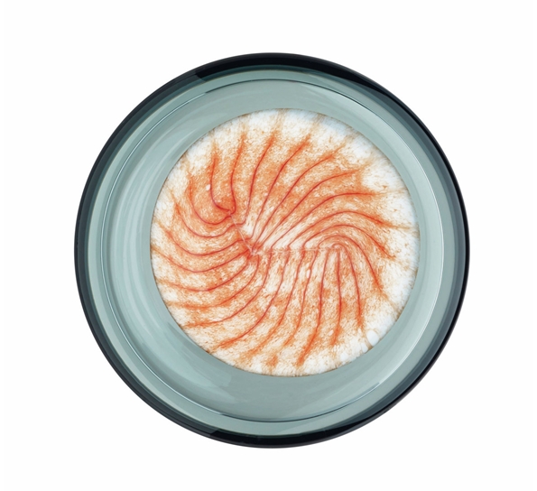 Aarre Kentauri Grå 100X58mm fra Iittala