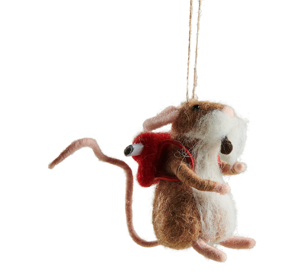 David Professormus fra Und