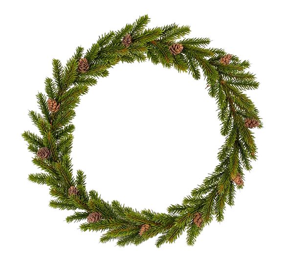 Grankrans 35 cm fra Mr. Plant