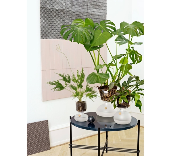 Vekstglass mellom fra Holmegaard