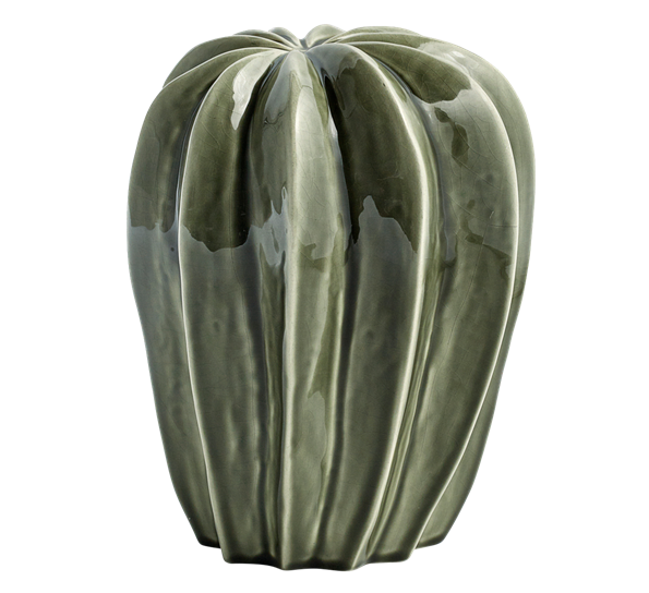 Cacti uno grønn fra HAY