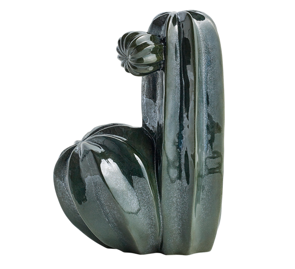 Cacti dos dypgrønn fra HAY