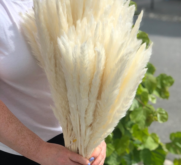 <p>Mini Pampas White tørkede blomster fra Lykkeblomster</p>
