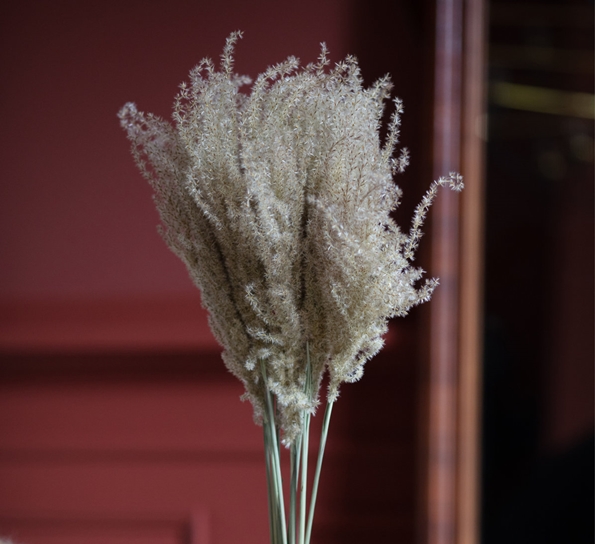 <p>Fluffy Pampas natur tørkede blomster fra Lykkeblomster</p>