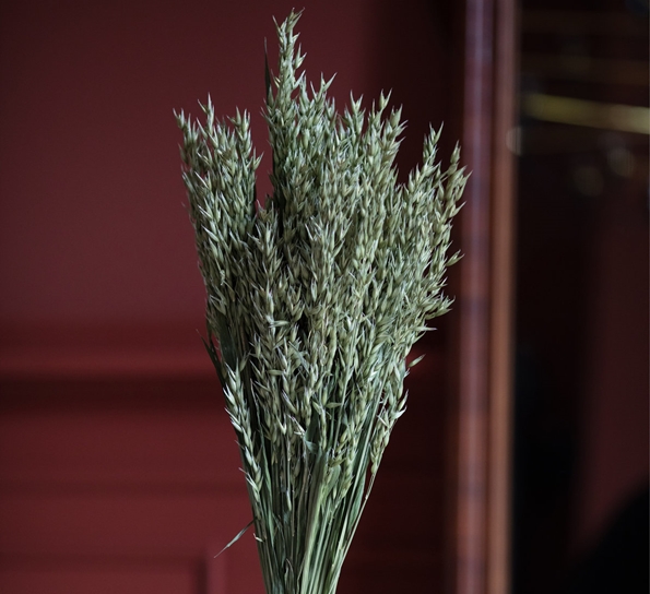 <p>Haver Avena Natural Green tørkede blomster fra Lykkeblomster</p>
