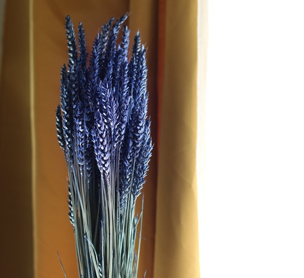 <p>Tarwe Dark Blue tørkede blomster fra Lykkeblomster</p>
