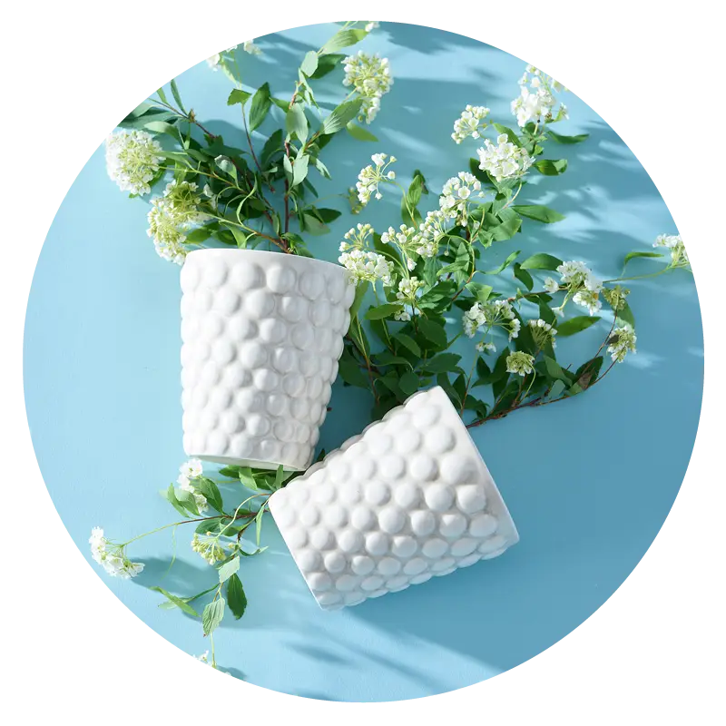 Mateus Bubbles servise