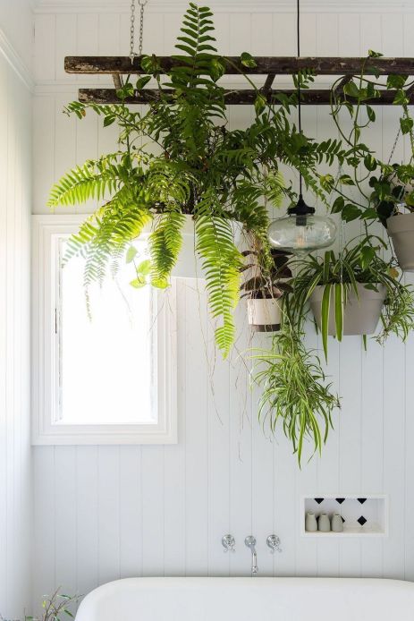 Inspiring-Hanging-Plants-Ideas-for-Bathroom-27.jpg