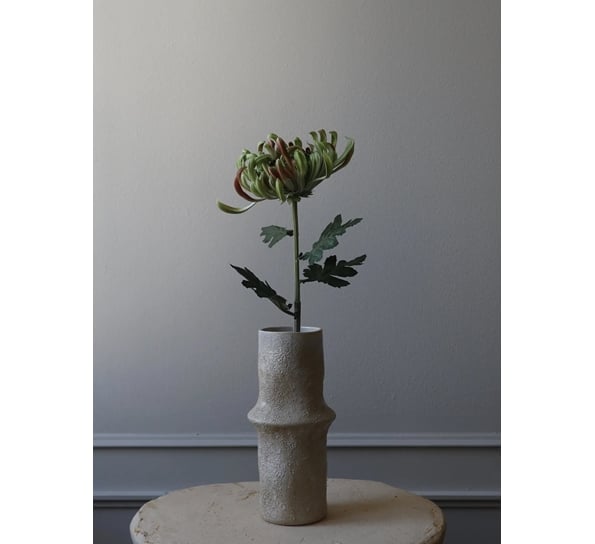 Kunstig blomst Chrysanthemum grønn Botané