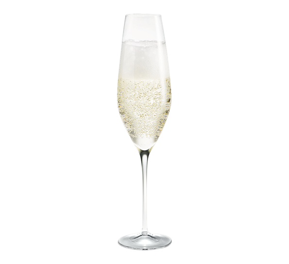 Cabernet champagneglass 29 cl fra Holmegaard