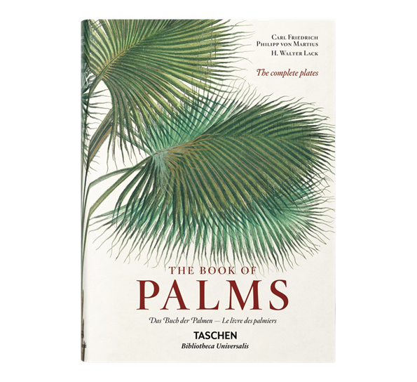The book of palms XXL fra New Mags