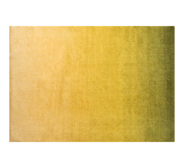Dis Moss dørmatte 170x240 cm fra Heymat