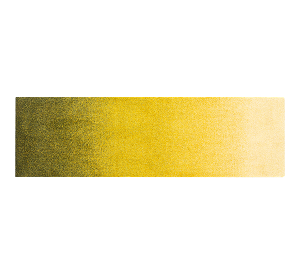 Dis Moss dørmatte 85x250 cm fra Heymat