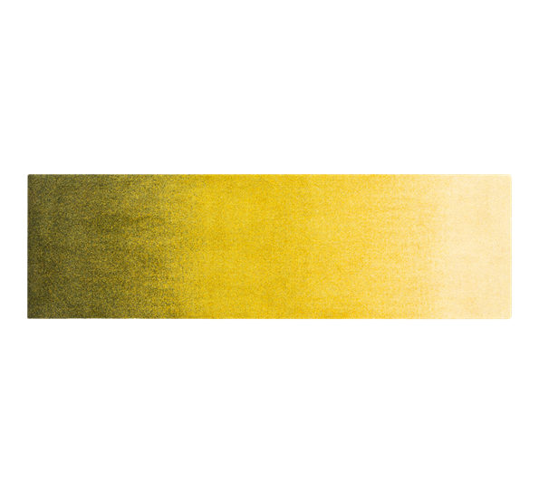 Dis Moss dørmatte 85x250 cm fra Heymat