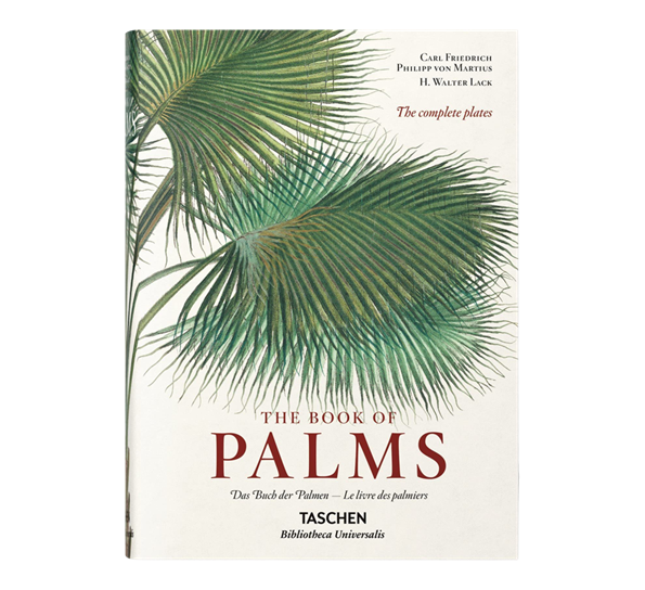 The book of palms XXL fra New Mags