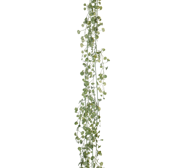 Silverfall 150 cm fra Mr. Plant