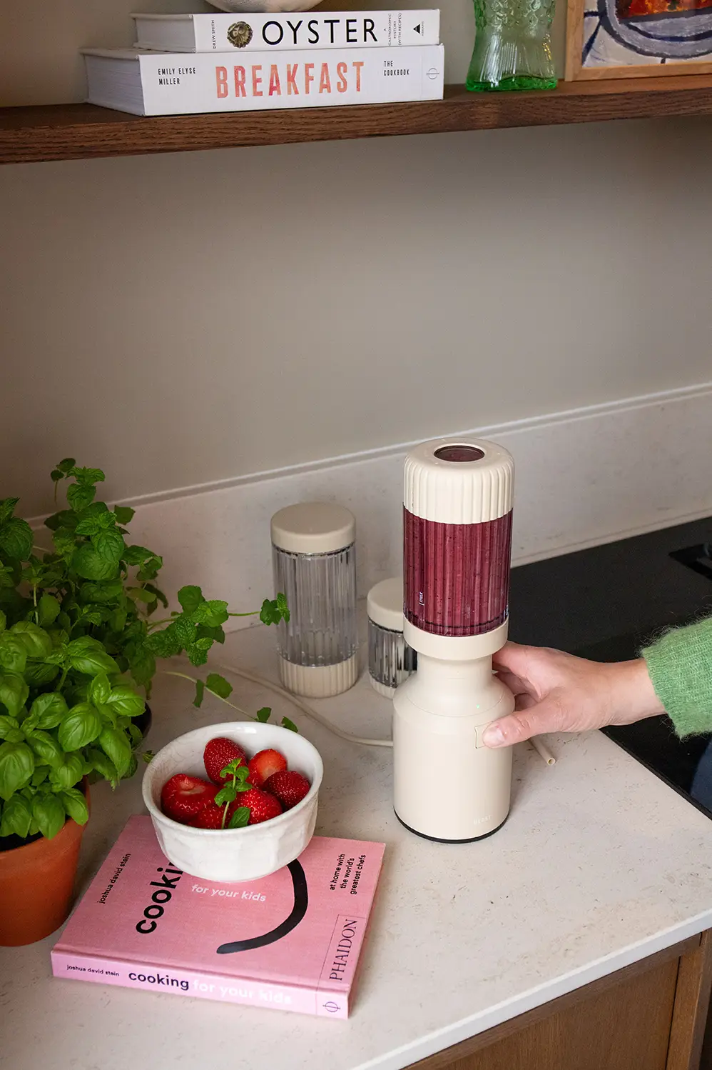 Beast Mega blender