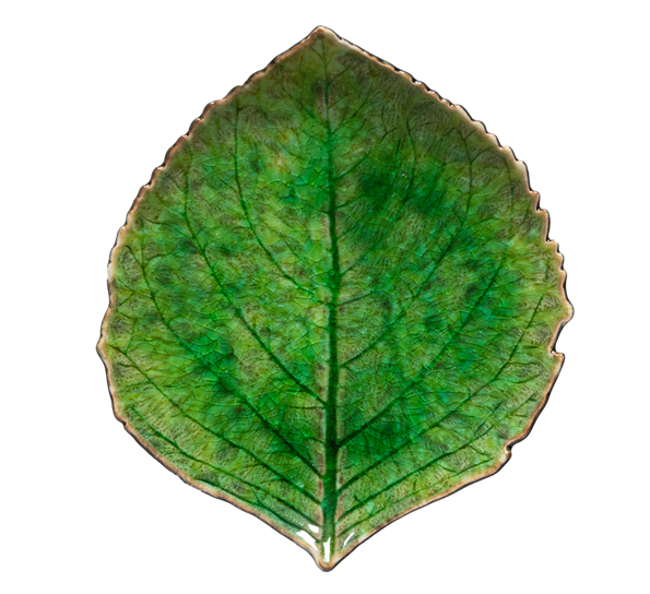 Riviera asjett 17 cm hortensiablad grønt fra Costa Nova