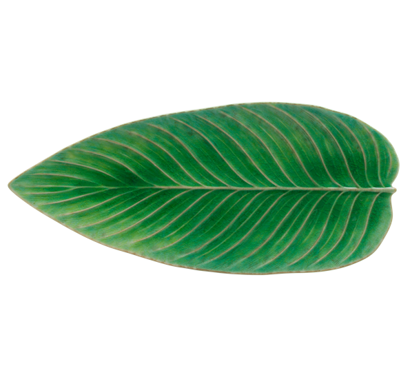 Riviera serveringsfat 40 cm avlangt løv grønt fra Costa Nova
