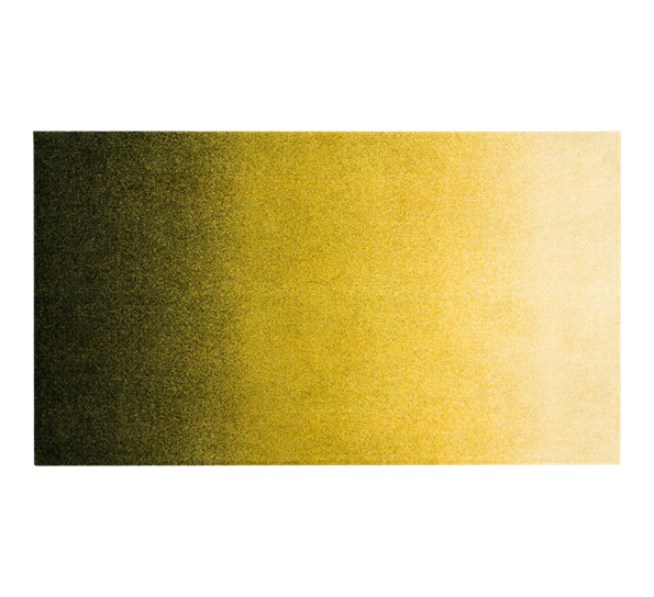 Dis Moss dørmatte 45x100 cm fra Heymat