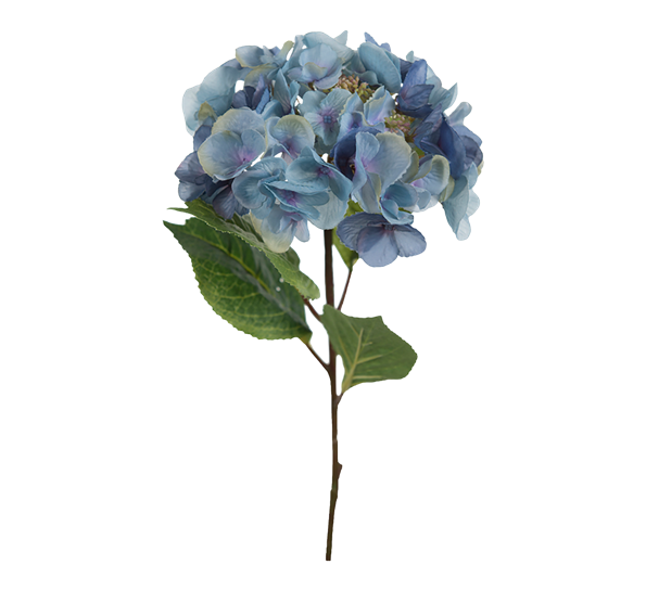 Hortensia 45 cm fra Mr. Plant