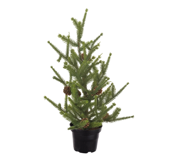 Gran i potte 45 cm fra Mr. Plant