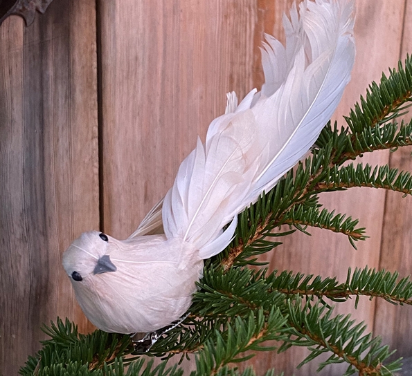 Krøllfjær med klips snø fra Und